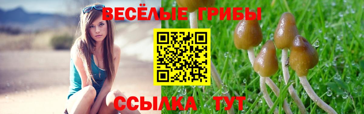 наркота  Вход с VPN  Белгород  Псилоцибиновые грибы Psilocybe 